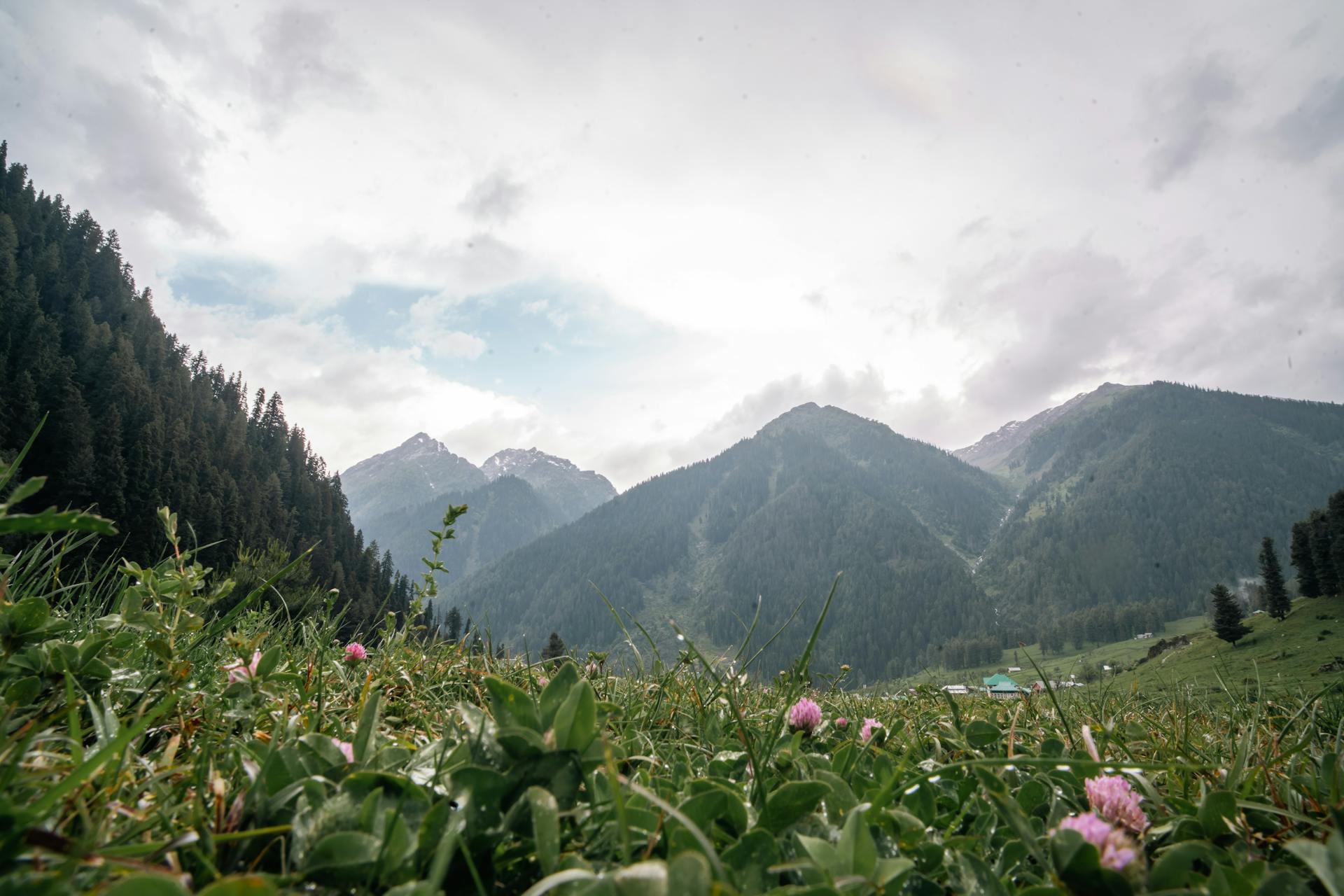Pahalgam mountain route