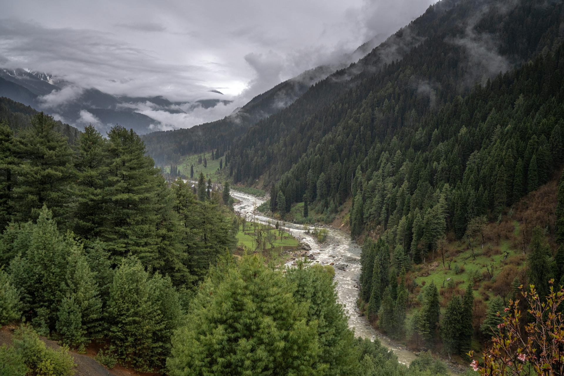 Pahalgam valley landscape