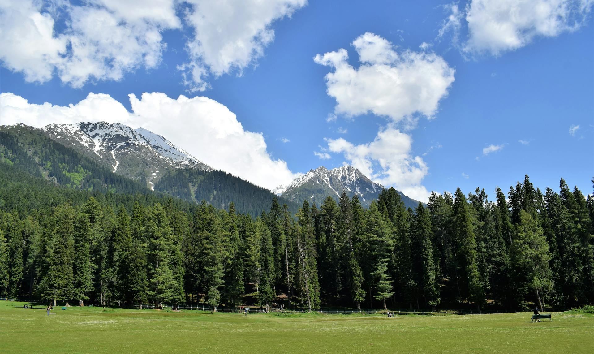 Pahalgam meadow view